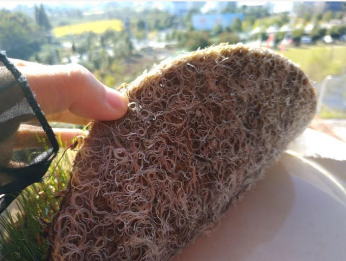 Hot Sell 100% Biodegradable Natural Jute Fiber Needle Punched Micro ...